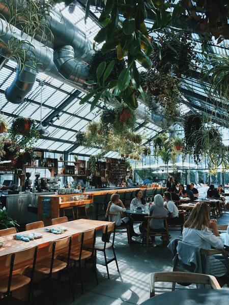 cafe with plants