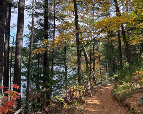 Escanaba Lake Loop
